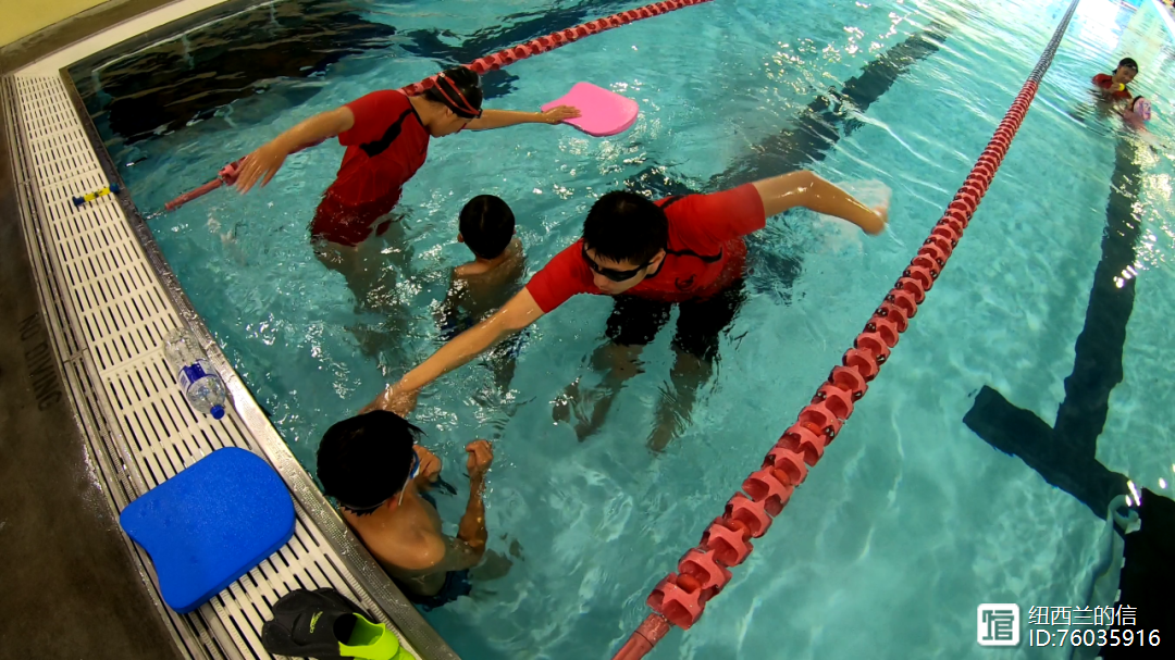 新西兰选手在游泳赛场闪耀,获得金牌头衔 新西兰选手在游泳赛场闪耀,获得金牌头衔